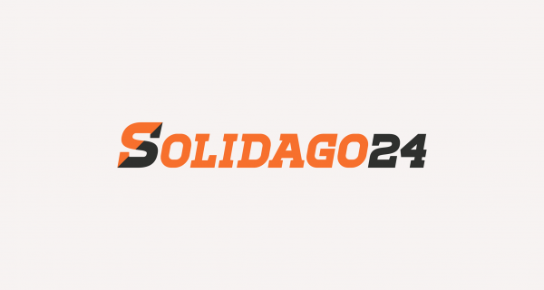 Solidago24